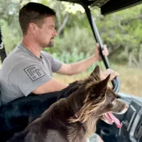 Theodore, a male Toy Australian Shepherd for sale in San Antonio, TX – Photo 5 of 6