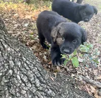 processed/19c09b9e-d2fe-4298-ae4d-ec012c179b18/listing/8c8228c5-2e68-47f7-9fa2-70f404da7760/db6d64c3-8455-437b-b885-9071931129b4