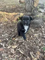 processed/19c09b9e-d2fe-4298-ae4d-ec012c179b18/listing/a5bb32d4-df92-4111-9dc2-19d286e8e80c/3ffab023-aa41-40df-921a-c9197588dead