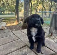 processed/19c09b9e-d2fe-4298-ae4d-ec012c179b18/listing/a5bb32d4-df92-4111-9dc2-19d286e8e80c/6e838e41-cf9e-4a88-b0b9-6348158efe49