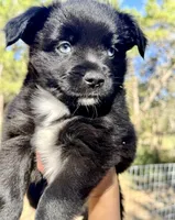 processed/19c09b9e-d2fe-4298-ae4d-ec012c179b18/listing/a5bb32d4-df92-4111-9dc2-19d286e8e80c/99d3ba3c-a310-42b2-a610-637de08cf1b3