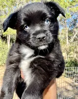 processed/19c09b9e-d2fe-4298-ae4d-ec012c179b18/listing/a5bb32d4-df92-4111-9dc2-19d286e8e80c/e650298e-d34a-4425-a3b2-09b0f9b3f670