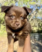 processed/19c09b9e-d2fe-4298-ae4d-ec012c179b18/listing/c564be6d-4eb7-49bc-97ec-cfc80152aabd/0a824225-5e90-4709-ab4b-aaee41a5b19a