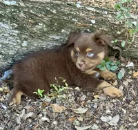 processed/19c09b9e-d2fe-4298-ae4d-ec012c179b18/listing/c564be6d-4eb7-49bc-97ec-cfc80152aabd/2da31e06-63f3-4341-bf98-45eafbbdf710