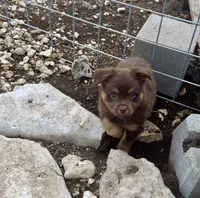 processed/19c09b9e-d2fe-4298-ae4d-ec012c179b18/listing/c564be6d-4eb7-49bc-97ec-cfc80152aabd/421ad215-5d9a-4a9c-adf8-7d375be57ff0