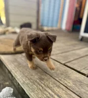 processed/19c09b9e-d2fe-4298-ae4d-ec012c179b18/listing/c564be6d-4eb7-49bc-97ec-cfc80152aabd/82d716fb-8a23-4a4c-9a8e-a9da79c4cc92