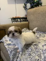 processed/19c4a8af-8a47-4b74-89c6-8d6bea7576cd/listing/84d6c862-129f-4e08-800c-d2a132b4aa6a/1ee92bda-b757-487e-b649-21e04d916e4d