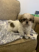 processed/19c4a8af-8a47-4b74-89c6-8d6bea7576cd/listing/84d6c862-129f-4e08-800c-d2a132b4aa6a/75fb0484-f224-4b2b-925e-ec16e8de723e