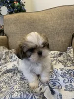 processed/19c4a8af-8a47-4b74-89c6-8d6bea7576cd/listing/84d6c862-129f-4e08-800c-d2a132b4aa6a/9ef0cb8d-012d-4ecb-8d2c-587517620b5f