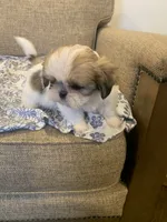 processed/19c4a8af-8a47-4b74-89c6-8d6bea7576cd/listing/84d6c862-129f-4e08-800c-d2a132b4aa6a/f9c5bd87-9047-465c-b313-4b03777ed743