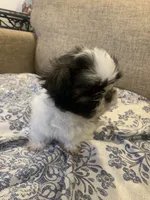 processed/19c4a8af-8a47-4b74-89c6-8d6bea7576cd/listing/9403964f-5097-420c-ba3f-896d0bd34c01/668ec2bf-922a-4833-b2c9-9cae8e5f365d