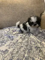 processed/19c4a8af-8a47-4b74-89c6-8d6bea7576cd/listing/9403964f-5097-420c-ba3f-896d0bd34c01/8779383d-8e1b-43fc-a513-0693ea25c2ed