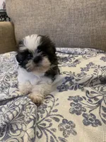 processed/19c4a8af-8a47-4b74-89c6-8d6bea7576cd/listing/9403964f-5097-420c-ba3f-896d0bd34c01/9aeb084d-7d76-49ce-ae14-a1fd9f7621f3