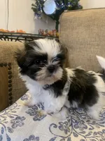 processed/19c4a8af-8a47-4b74-89c6-8d6bea7576cd/listing/9403964f-5097-420c-ba3f-896d0bd34c01/b5228787-928f-4071-83f2-0c021d65fa37