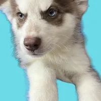 processed/19c50968-109c-4c41-87f7-d0423a7d1f11/facility/55f43eb8-1e72-461f-a7ec-be67e7fcc836