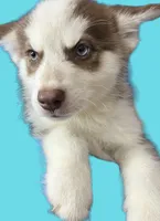 processed/19c50968-109c-4c41-87f7-d0423a7d1f11/facility/55f43eb8-1e72-461f-a7ec-be67e7fcc836