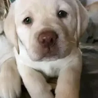 processed/19c50968-109c-4c41-87f7-d0423a7d1f11/facility/6d71ca3a-e0ca-433f-82b2-b37477e385ab