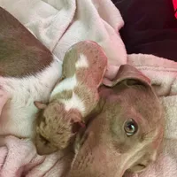 processed/19c50968-109c-4c41-87f7-d0423a7d1f11/facility/a041add9-5af5-4aec-b799-1b0a6f22c918