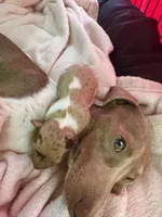 processed/19c50968-109c-4c41-87f7-d0423a7d1f11/facility/a041add9-5af5-4aec-b799-1b0a6f22c918