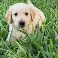 processed/19c50968-109c-4c41-87f7-d0423a7d1f11/facility/f2972a68-d325-41b9-8bb9-0a139f63aaeb