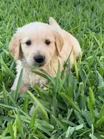 processed/19c50968-109c-4c41-87f7-d0423a7d1f11/facility/f2972a68-d325-41b9-8bb9-0a139f63aaeb