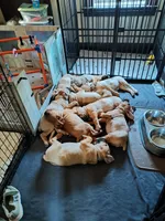 Facility photo