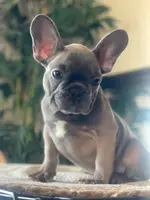 processed/19d1bd87-4d41-4f90-9314-7d9f54f502a2/listing/f981ecc6-5795-4a6e-b1a4-1585f9f59695/319acd7a-50b4-45c6-8036-afe7bda895ac