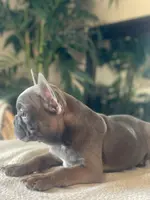 processed/19d1bd87-4d41-4f90-9314-7d9f54f502a2/listing/f981ecc6-5795-4a6e-b1a4-1585f9f59695/319d6ed8-f396-49ea-bd72-e8e3addfe0be