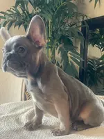 processed/19d1bd87-4d41-4f90-9314-7d9f54f502a2/listing/f981ecc6-5795-4a6e-b1a4-1585f9f59695/34ff33ca-7f91-4ce8-8db3-aa8bfc133585