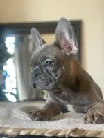 processed/19d1bd87-4d41-4f90-9314-7d9f54f502a2/listing/f981ecc6-5795-4a6e-b1a4-1585f9f59695/6ea03511-1c6b-4d3e-bfe1-cee447d42b39