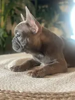 processed/19d1bd87-4d41-4f90-9314-7d9f54f502a2/listing/f981ecc6-5795-4a6e-b1a4-1585f9f59695/829c94a1-227b-4f57-a6cf-335721617f6a