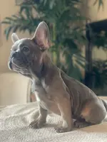 processed/19d1bd87-4d41-4f90-9314-7d9f54f502a2/listing/f981ecc6-5795-4a6e-b1a4-1585f9f59695/948b5eb6-ac91-4582-ac87-fc6a2401a2e5