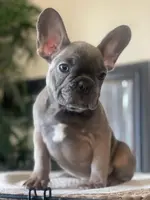 processed/19d1bd87-4d41-4f90-9314-7d9f54f502a2/listing/f981ecc6-5795-4a6e-b1a4-1585f9f59695/96bcea4b-96ef-4d8e-9df9-00237dddbca0