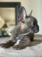 processed/19d1bd87-4d41-4f90-9314-7d9f54f502a2/listing/f981ecc6-5795-4a6e-b1a4-1585f9f59695/d967cb88-04a6-4dd8-8a01-120f1580f7d3