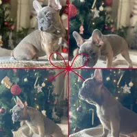 processed/19d1bd87-4d41-4f90-9314-7d9f54f502a2/listing/f981ecc6-5795-4a6e-b1a4-1585f9f59695/f1f62dc2-9d5a-46be-9d6a-bc4d2fdbc297