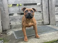 processed/19d53eec-e532-4110-81c0-b69593cdbf84/listing/aab97897-44ad-4627-86be-ff0a8316ba24/14c9c9d9-266b-4881-baa4-d3f1e5fec9e5