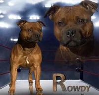 processed/19d53eec-e532-4110-81c0-b69593cdbf84/listing/aab97897-44ad-4627-86be-ff0a8316ba24/50959dff-803c-47f8-8f32-b879d0078aad