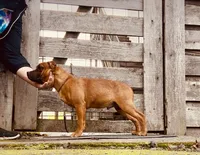 processed/19d53eec-e532-4110-81c0-b69593cdbf84/listing/aab97897-44ad-4627-86be-ff0a8316ba24/cc956bf0-e929-4698-922b-8732ec8e68d9