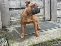 processed/19d53eec-e532-4110-81c0-b69593cdbf84/listing/aab97897-44ad-4627-86be-ff0a8316ba24/dc982438-cf52-4ab5-96cf-1a77c0f355c1