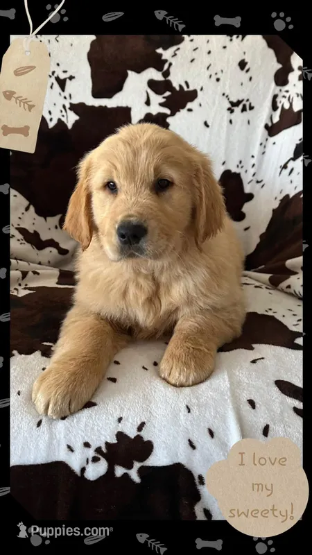 Peaches Dark green boy