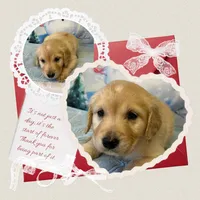 processed/19e43d86-9591-4c0d-a146-514930a52548/listing/3c7ec23d-e70a-4ebb-988e-99f4e4703021/5657c6ab-cfc9-46ea-88b2-87231c01e131