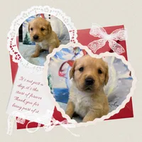 processed/19e43d86-9591-4c0d-a146-514930a52548/listing/5502127a-75e3-4f54-8e36-33751e1627ca/e5e866bc-0454-4deb-bd53-84a8f734e12d