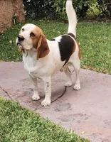 processed/19e70bfd-8275-471b-8098-85a04a3fec5f/facility/129e38d1-749d-48db-8fa9-dd42fc6e80b2