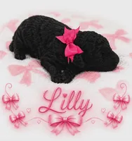 Lilly, a female Goldendoodle for sale in Clinton, SC – 1 of 1