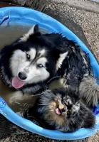 processed/19f7ed97-56fc-4afe-8587-d96a46c1f7e5/facility/01f65e90-fb98-433b-9bdb-2f7d88de4a82