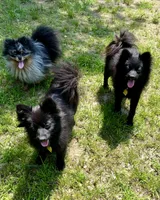 processed/19f7ed97-56fc-4afe-8587-d96a46c1f7e5/facility/06596a14-8f42-4203-abc3-567212eb47bf