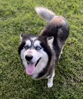 processed/19f7ed97-56fc-4afe-8587-d96a46c1f7e5/facility/0a9f2cd5-174e-4759-a08d-1d7bff3a2eb1