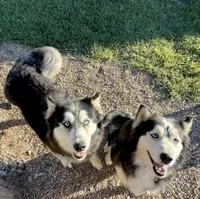 processed/19f7ed97-56fc-4afe-8587-d96a46c1f7e5/facility/704118e6-c870-43f4-a8d2-a87f397541b5