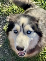 processed/19f7ed97-56fc-4afe-8587-d96a46c1f7e5/facility/8b142fa6-118f-4f1b-8f16-ea478911683e