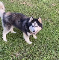 processed/19f7ed97-56fc-4afe-8587-d96a46c1f7e5/facility/c3774638-b2ef-4df2-bc72-85fde0005bc5